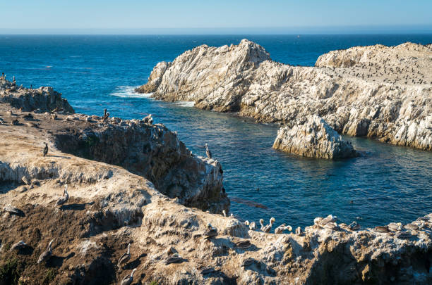 Point Lobos State Natural Reserve, California