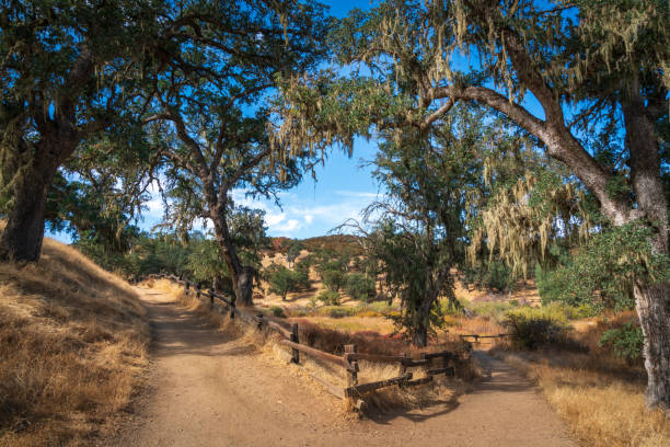Pinnacles National Park in California