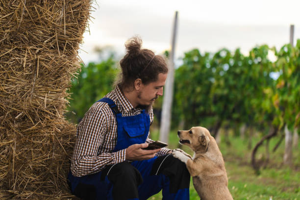 One young farmer loves his sustainable and pesticide-free farm but also his beloved dog friend