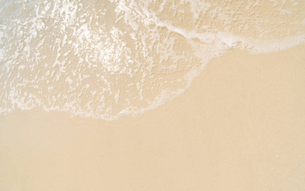 istock beautifully sand beach, closeup, top view 2204848289