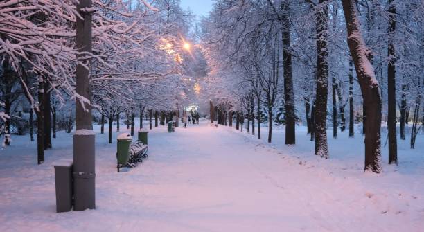 istock Park in Moscow in winter 2204848327
