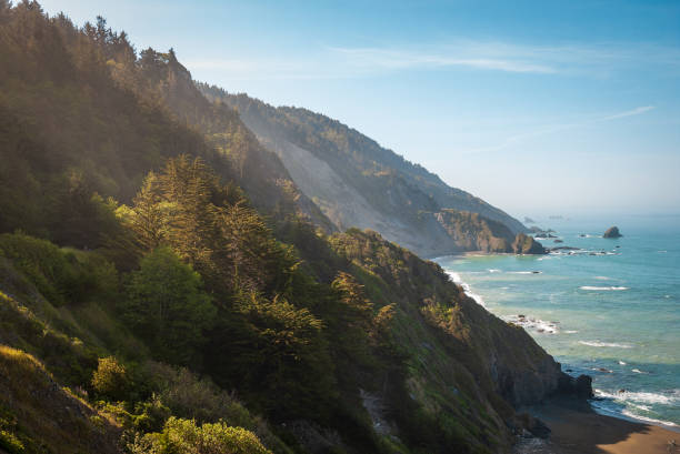 Redwood National Park in California