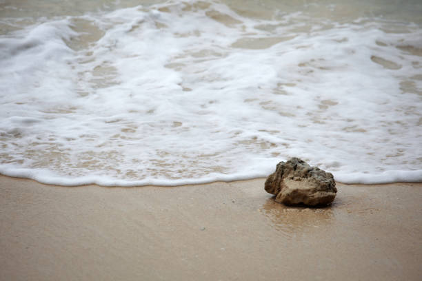 istock Rock on Sandy Beach with Gentle Ocean Waves Lapping at Shoreline 2204854423