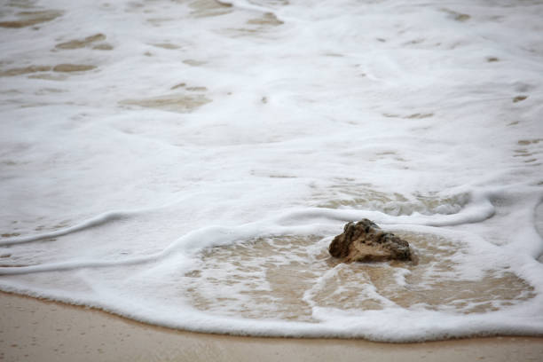 istock Calm Beach Scene with Gentle Waves and Lonely Rock Formation 2204854454