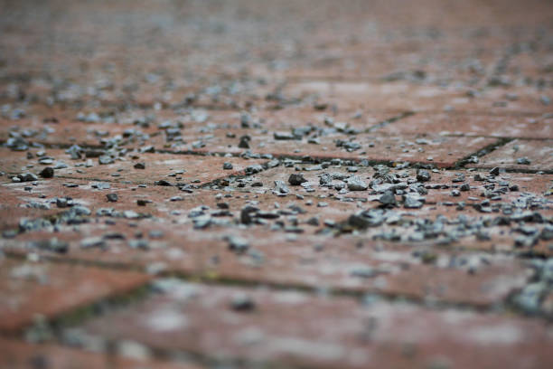 Cobblestone road, shallow depth of field.