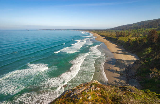 istock The Pacific Coast at Redwood National Park 2204858059