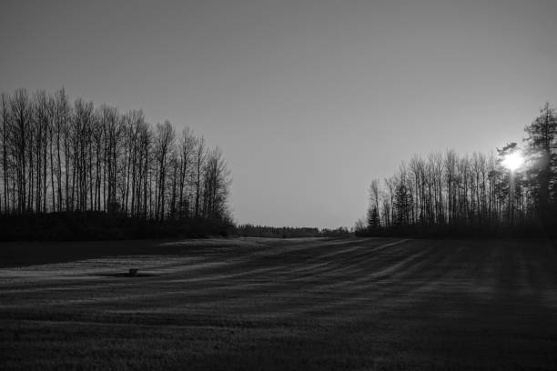 Cool, grey foggy days.
