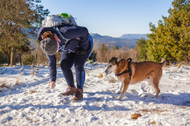 istock Hiking with dogs is actually really fun 2204860618