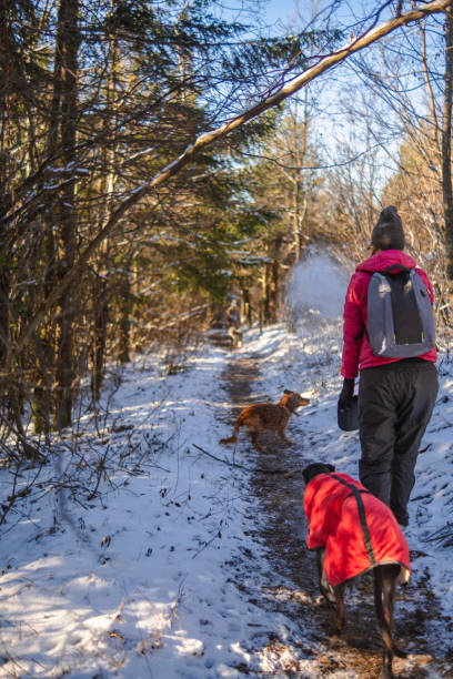 istock What a wonderful sunny day and a snowy adventure! 2204860844
