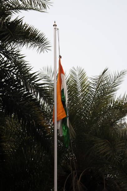 istock India Day flag in the palm trees and mist 2204860881