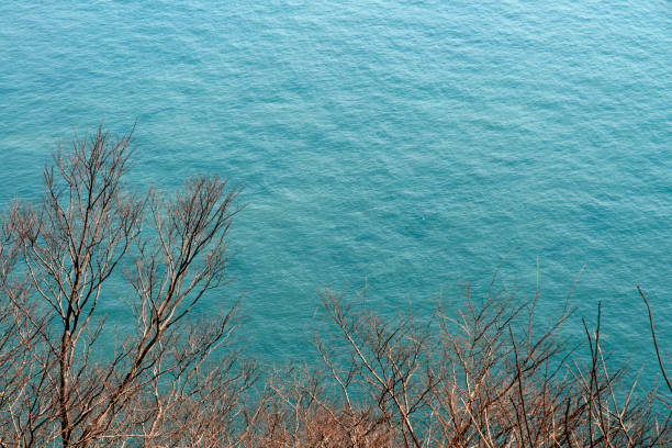natural background