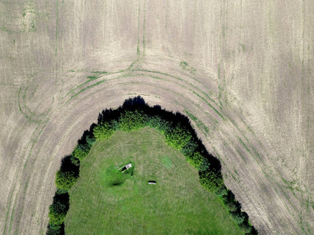 Green island in the field