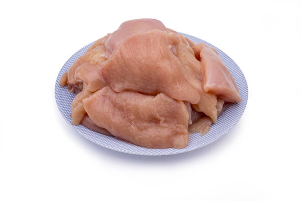 Raw chicken schnitzel on a blue plate and white background. Raw chicken medallions on a white plate on an isolated background. Raw chicken steaks. Raw chicken meat. Clipping path included.