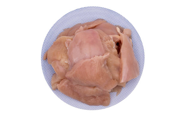 Raw chicken schnitzel on a blue plate and white background. Raw chicken medallions on a white plate on an isolated background. Raw chicken steaks. Raw chicken meat. Clipping path included.
