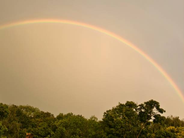 istock real rainbow in the wild 2204869505