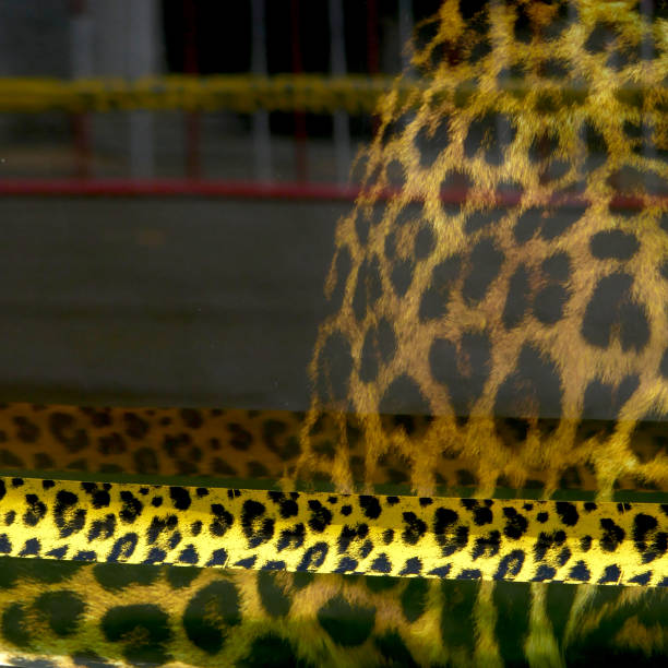 borderline noble leopard barrier tape