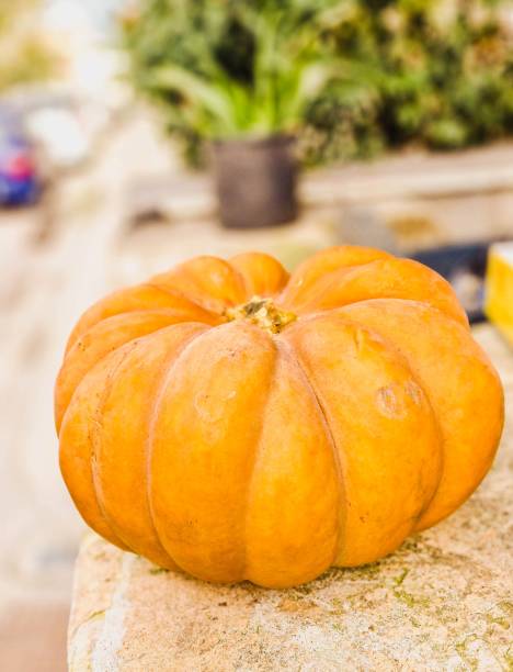 Rustic Orange Pumpkin on a Stone Surface