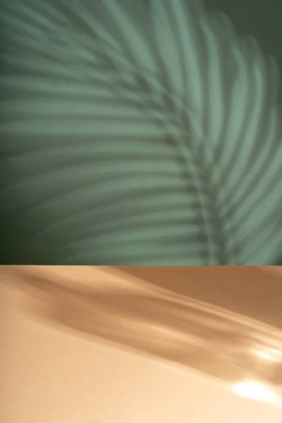 istock Tropical leaf shadow blank background composition for product presentation. The background is beige. Beautiful trendy color background 2204873536