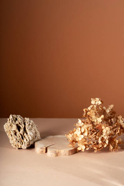 istock Composition empty podium material eucalyptus stone dry flowers glass. Product presentation. Background mocha olor. Beautiful background from natural materials 2204873595