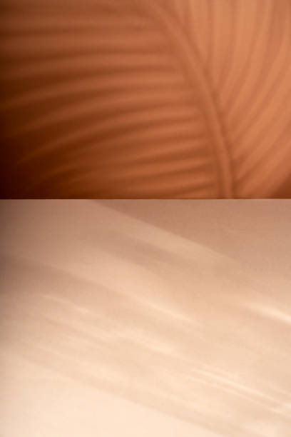 istock Abstract shadow sun glare from glass, empty background composition for product presentation. The background is beige. Showcase Nude Studio Minimal 2204873696
