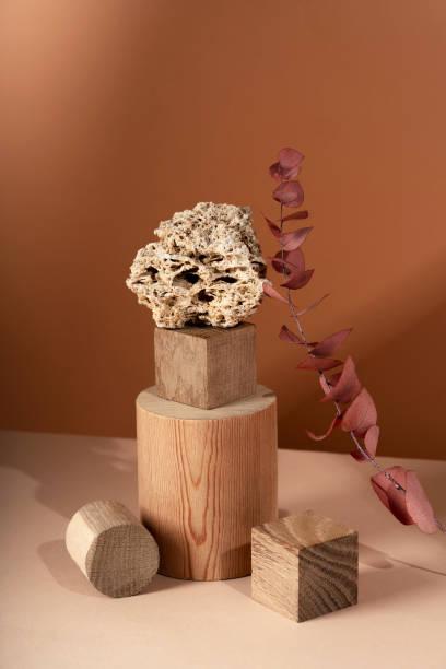 istock Composition empty podium material eucalyptus stone dry flowers glass. Product presentation. Background mocha olor. Beautiful background from natural materials 2204873744