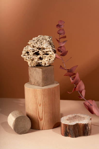istock Composition empty podium material eucalyptus stone dry flowers glass. Product presentation. Background mocha olor. Beautiful background from natural materials 2204873754