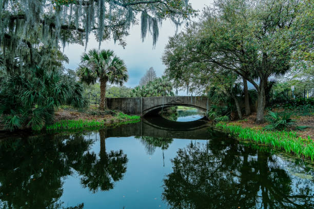 Florida wetlands park near Orlando.