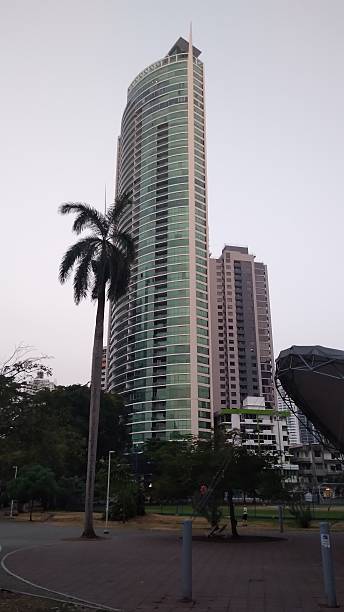 istock tall building with palm tree on one side with sky background 2204877641
