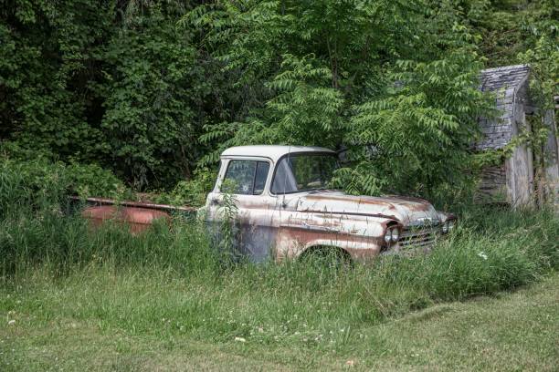 istock Rusted vintage truck in overgrown greenery. 2204878917