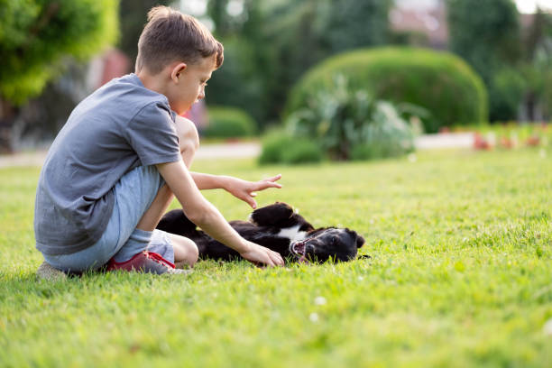 istock a boy enjoys nature while petting a dog 2204880183