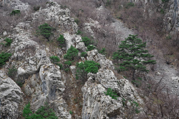 A rocky hillside with sparse vegetation, including green shrubs and trees, amidst a barren landscape. The contrast between the rugged rocks and the greenery is visually striking.