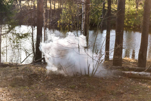 istock The smoke of an incipient fire in a wild forest. 2204883582
