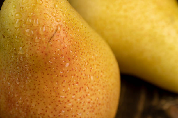 couple of wet ripe yellow red pears on the table, delicious yellow pears with red sides covered with drops of water, pear peel with dots