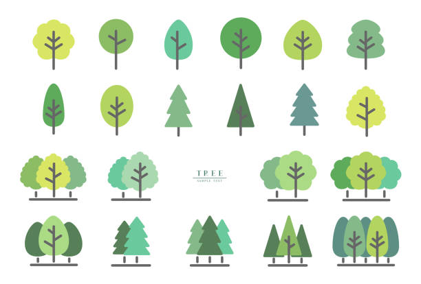 stockillustraties, clipart, cartoons en iconen met vector illustration set of various tree icons - boom