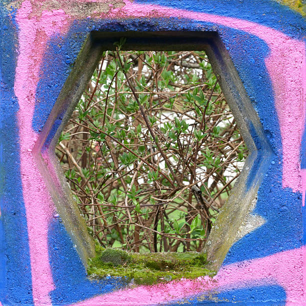 A colorful frame for the delicate awakening of spring