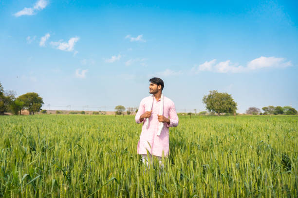 Happy Indian farmer standing middle in a growing green field of wheat.