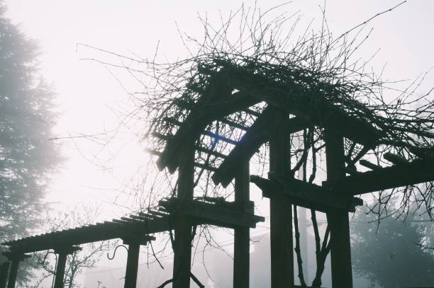 Gazebo at autumn