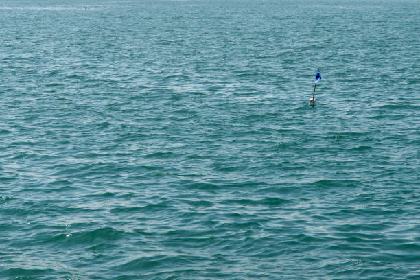 istock buoy floating on the sea 2204908659
