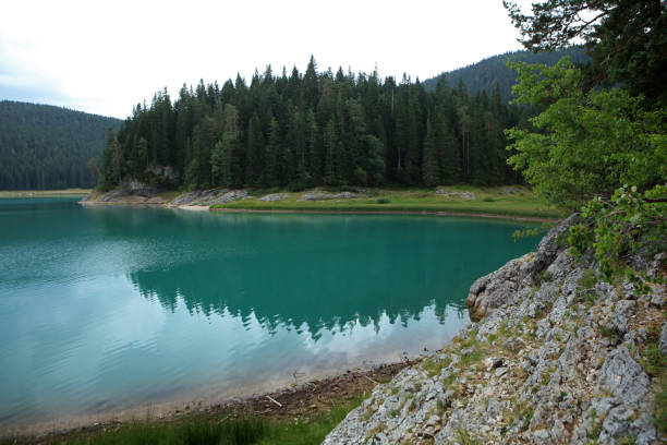 istock Black Lake in Durmitor National Park, Montenegro 2204912972