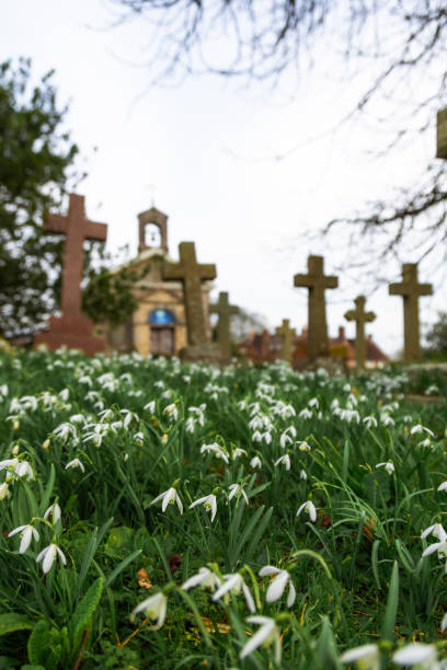 istock Snowdrops and ancient gravestones in the cemetery in springtime 2204915663