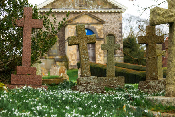 church cemetery with daffofils