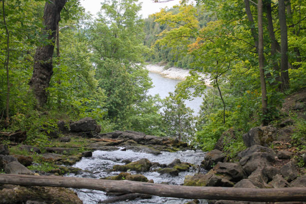 Hilton Falls Conservation Area stream flowing over rocky terrain with a wider river visible in the background through lush green forest foliage