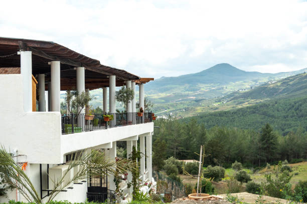 istock Driving through lush landscape in Morocco 2204917858