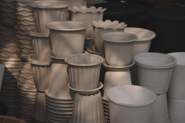 A curated collection of white ceramic pots in various shapes, ideal for planting and enhancing decor