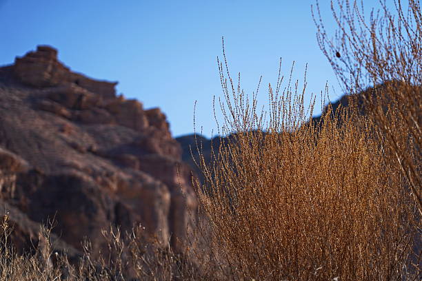 istock Charyn Canyon. Valley of Castles. 2204926892