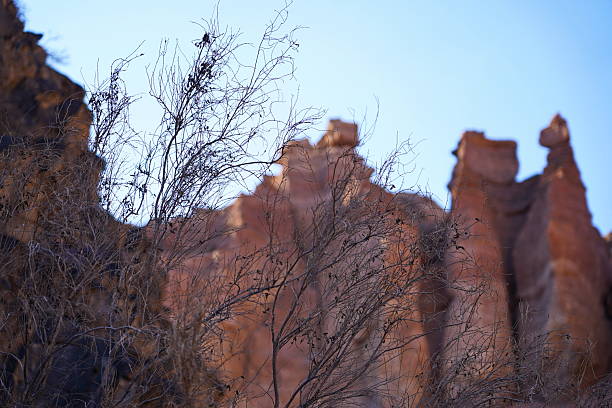 Charyn Canyon. Valley of Castles. The State National Nature Park.