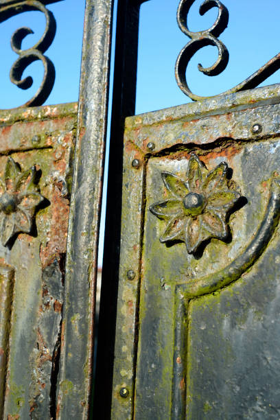 istock Flower relief in old wrought iron gate 2204927437