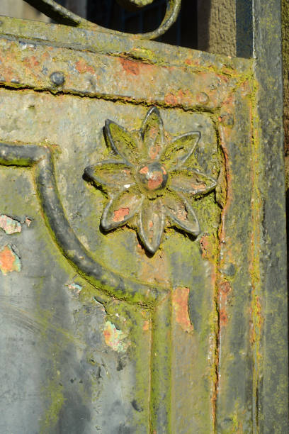 Flower relief in old wrought iron gate