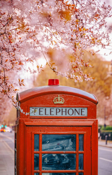 istock Iconic Red Telephone Booth with Spring Blossoms in London, England, UK 2204928532