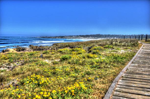 istock Beach Boardwalk The Links at Spanish Bay Pebble Beach California 2204937433
